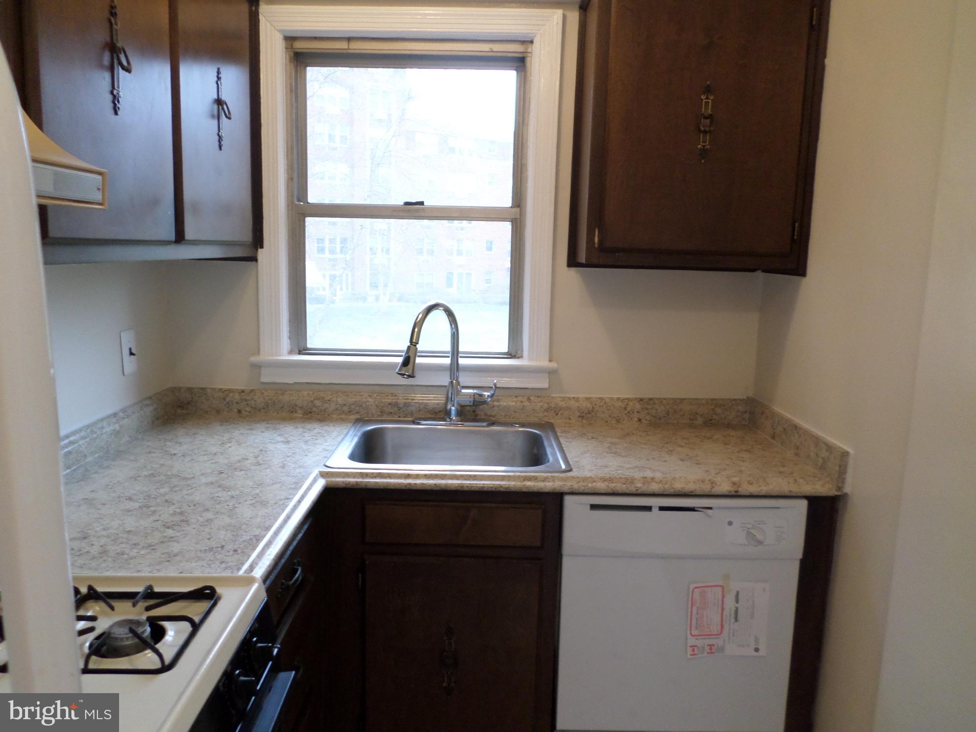 2500 Q Street Northwest, Unit 229 Washington, DC 20007 - Photo 11 of 41 kitchen window & dishwasher