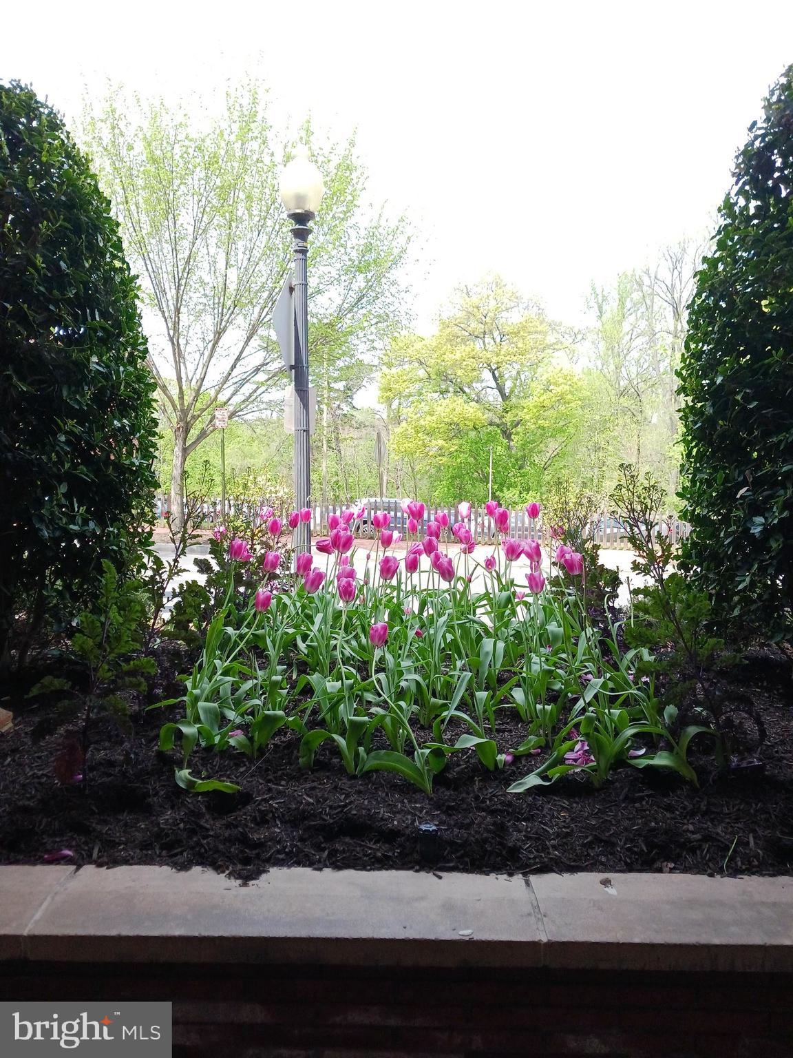 2500 Q Street Northwest, Unit 229 Washington, DC 20007 - Photo 34 of 41 in front of your door