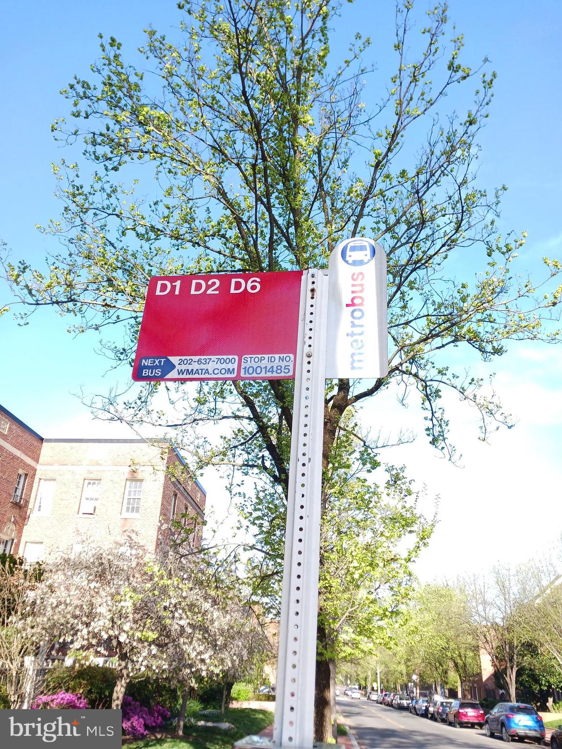2500 Q Street Northwest, Unit 229 Washington, DC 20007 - Photo 37 of 41 Metrobus right in front
