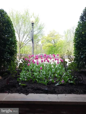 $1,700 | 2500 Q Street Northwest, Unit 229, Washington, DC 20007