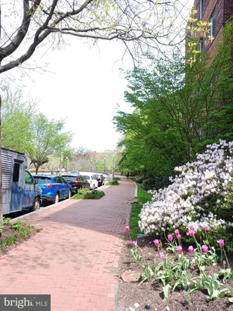 $1,700 | 2500 Q Street Northwest, Unit 229, Washington, DC 20007