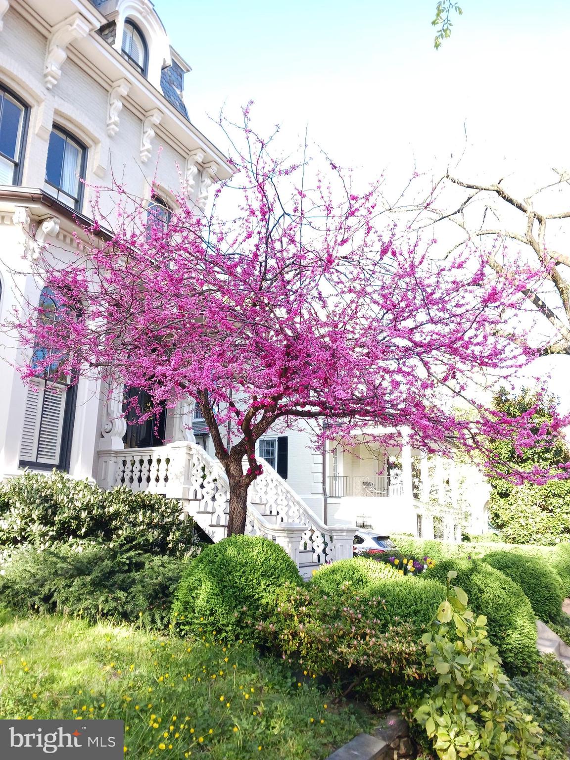 2500 Q Street Northwest, Unit 229 Washington, DC 20007 - Photo 40 of 41 neighbors in Kalorama
