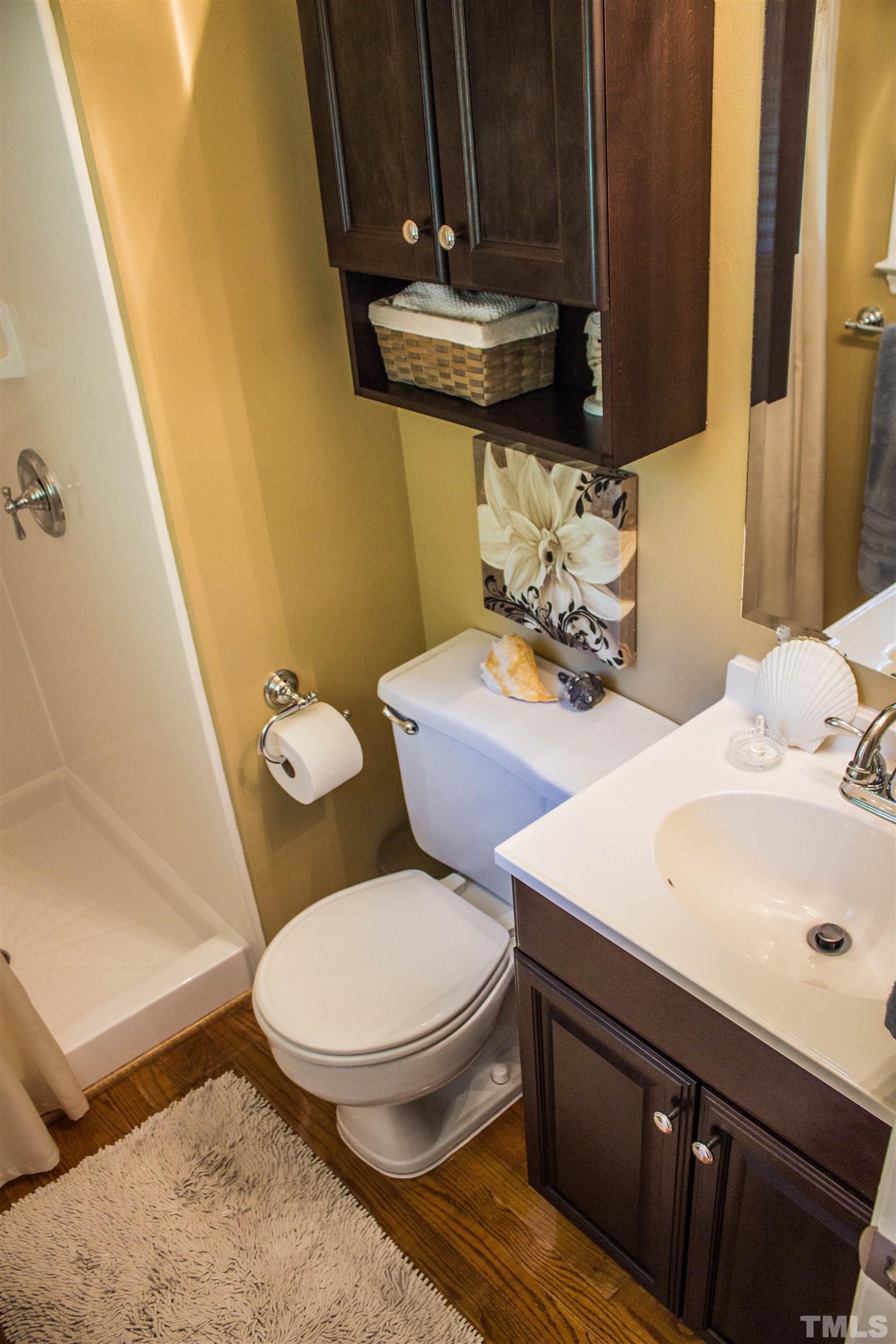 2102 Snow Hill Road Durham, NC 27712 - Photo 8 of 15 a bathroom with a sink a toilet and mirror