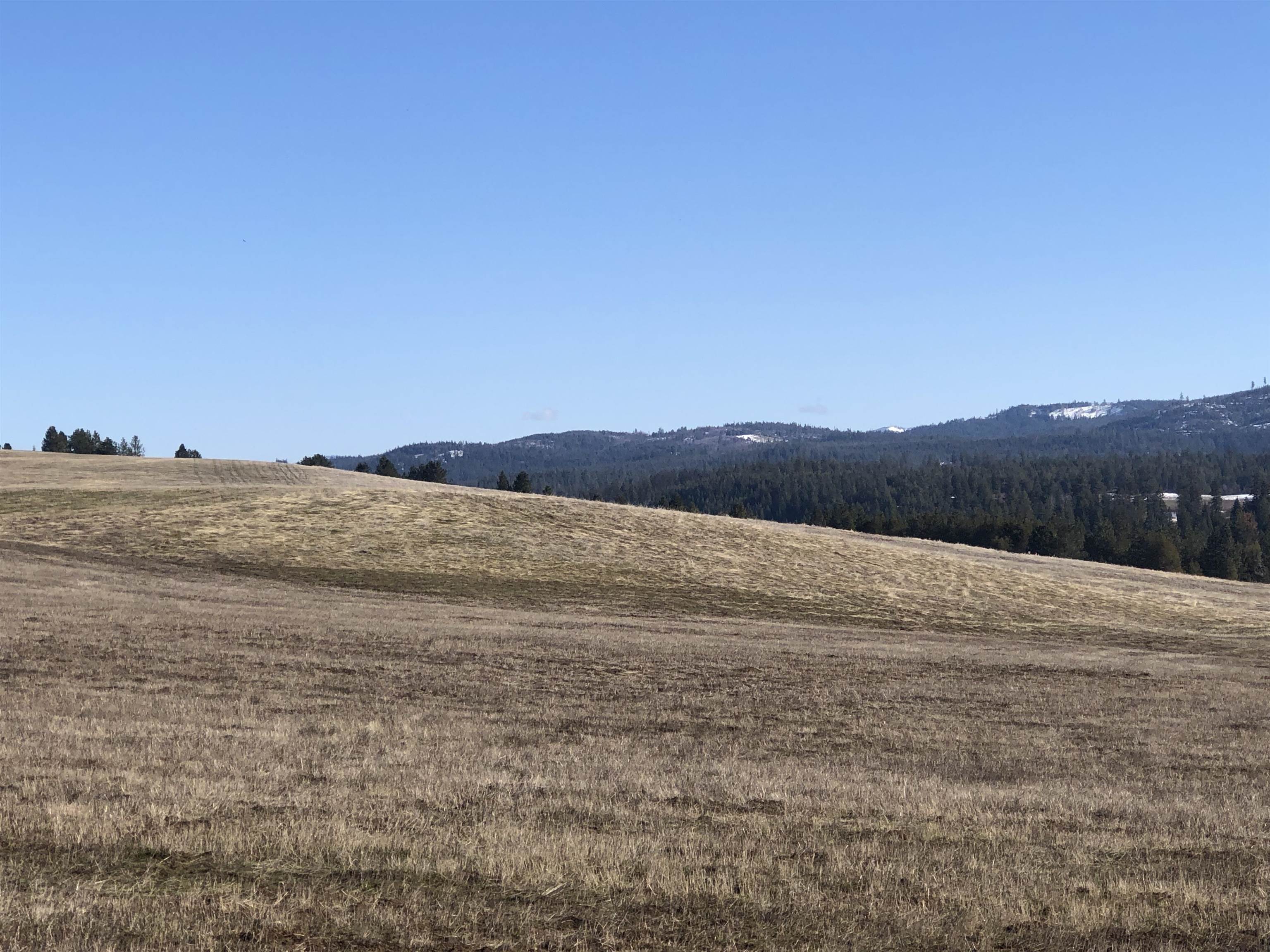 41900 North Darknell Road Elk, WA 99009 - Photo 19 of 33 Gallery Image 19