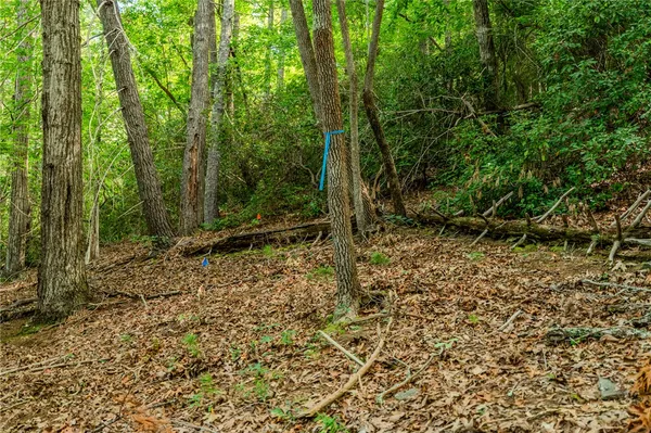 $849,900 | 108 Blazing Star Court, Sunset, SC 29685