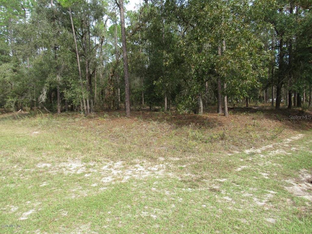 Tbd Southwest 217th Court Road Dunnellon, FL 34431 - Photo 1 of 1 1.21 Acres in Rainbow Springs Woodlands