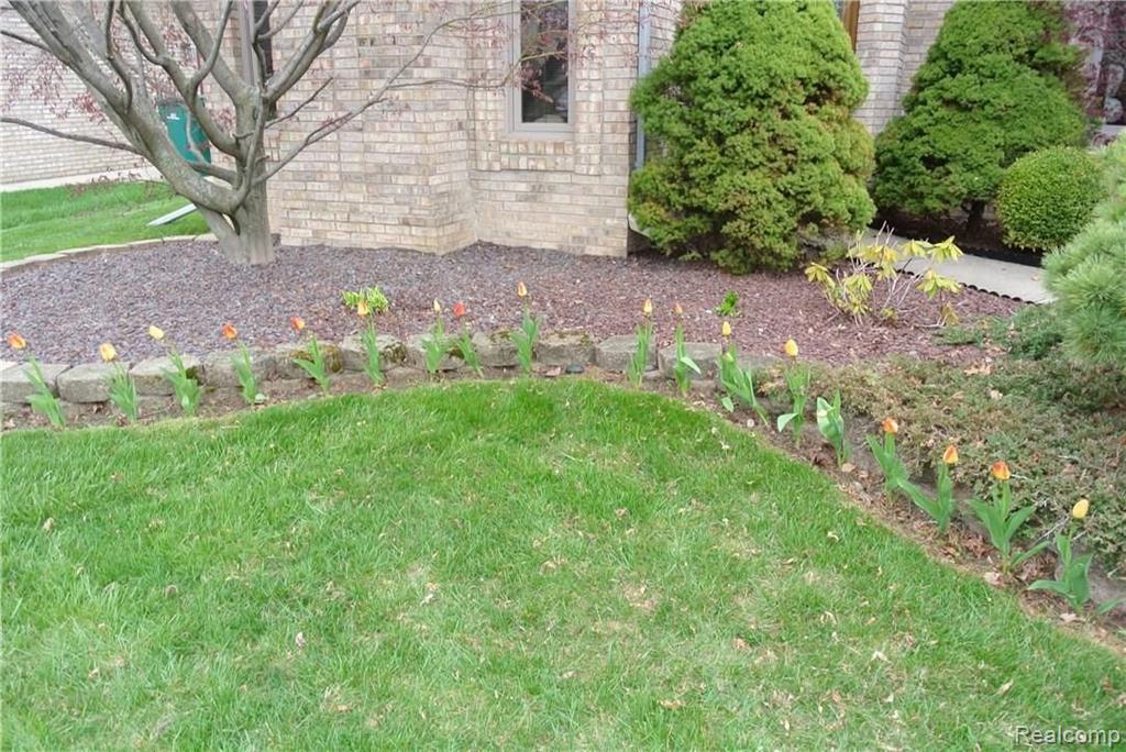 47105 Liberty Bell Road North Macomb, MI 48044 - Photo 5 of 36