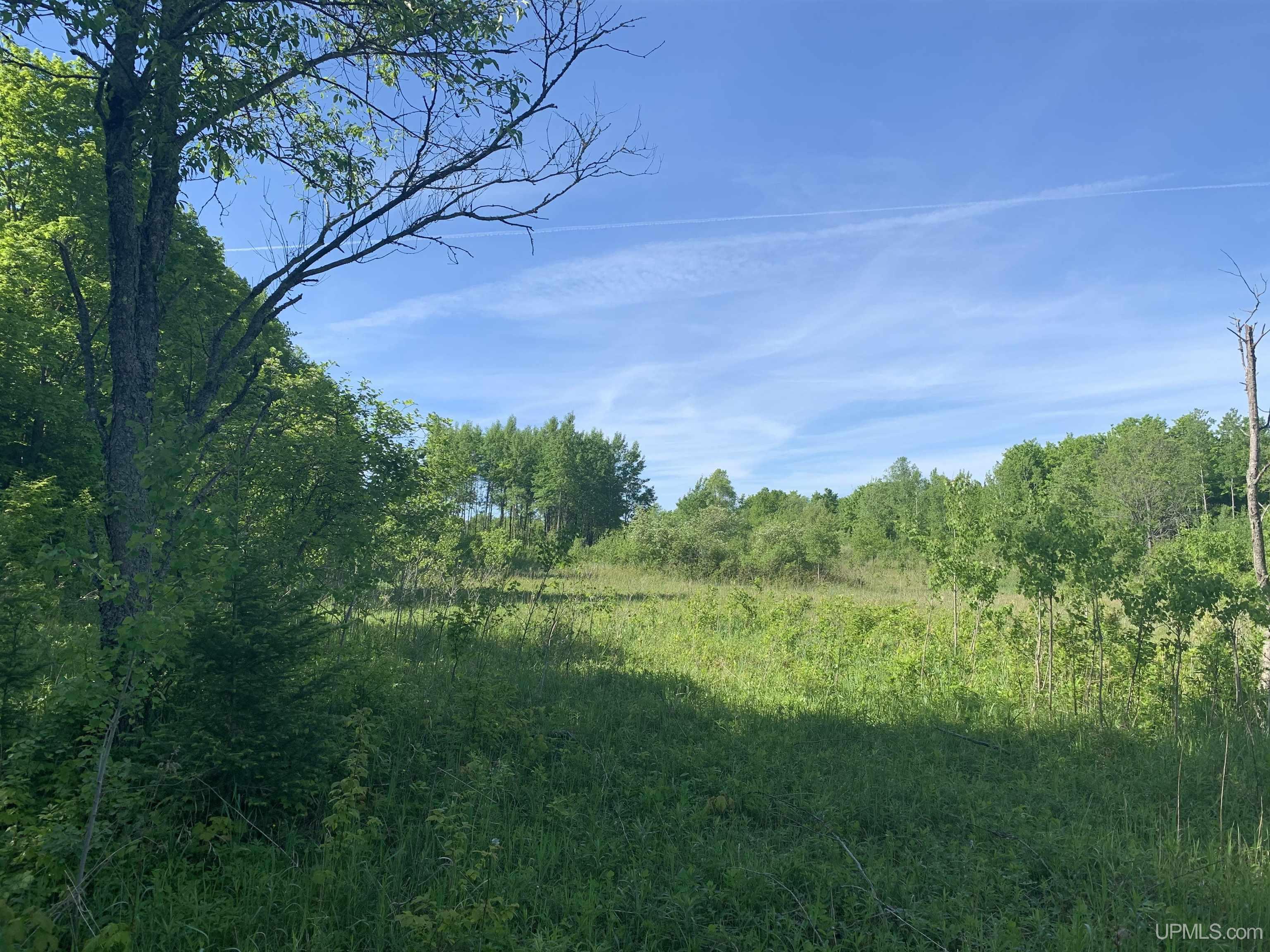 E3985 East 23rd Road Chatham, MI 49816 - Photo 10 of 33