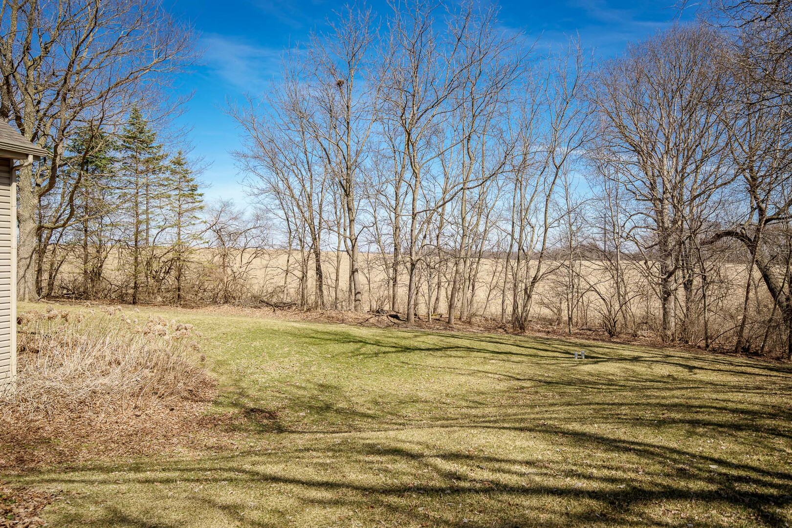 261 West Redtail Lane Oregon, IL 61061 - Photo 55 of 63 a view of outdoor space with trees