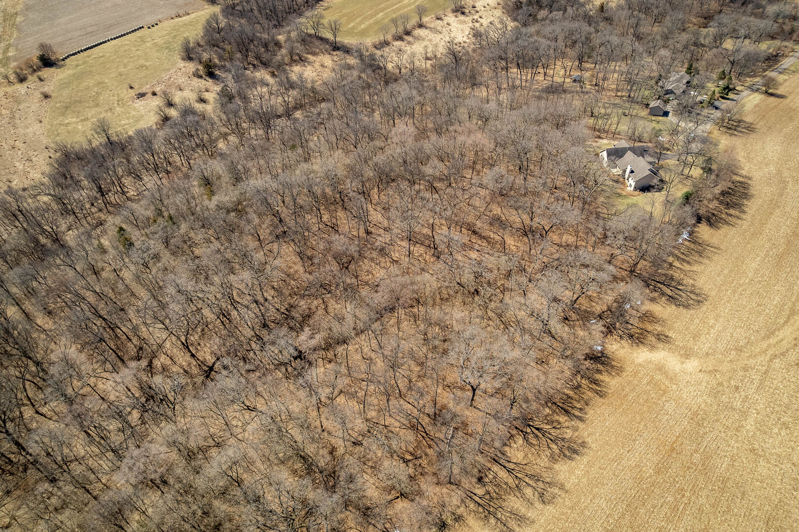 261 West Redtail Lane Oregon, IL 61061 - Photo 60 of 63 a close up of a wall with a dry yard