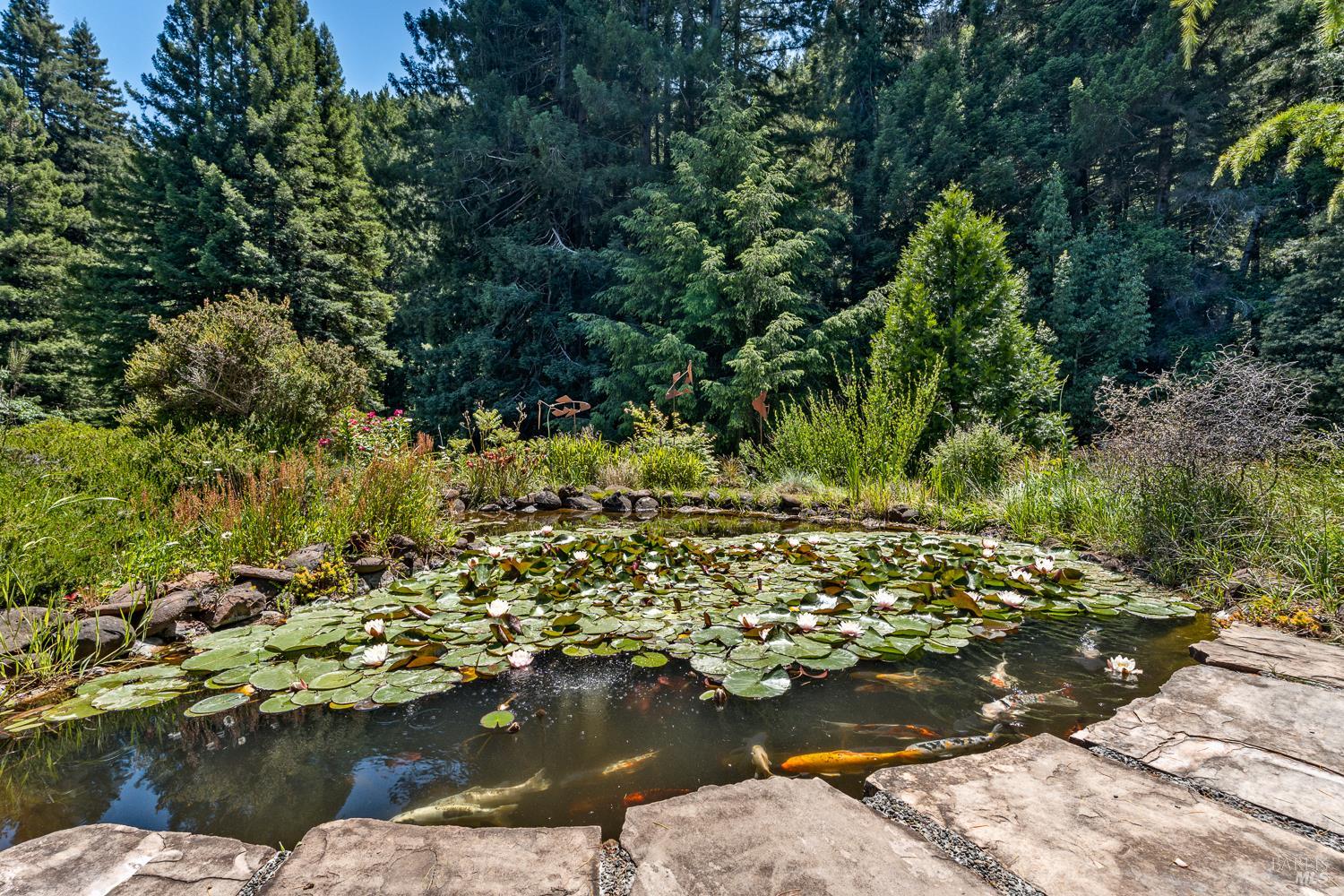 31501 Comptche Ukiah Road Comptche, CA 95427 - Photo 25 of 85 Koi Pond