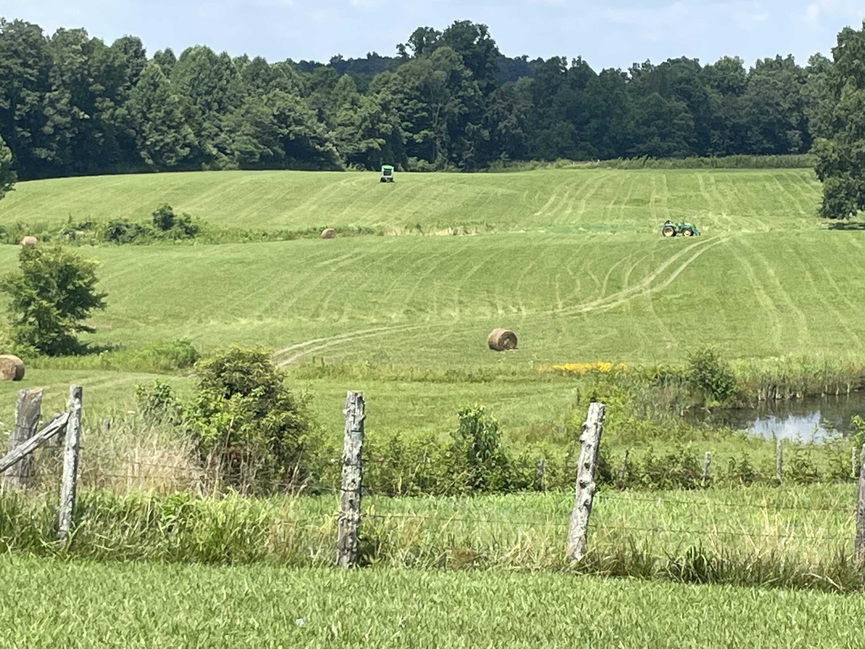 850 East Langdon Road Science Hill, KY 42553 - Photo 8 of 58 6B9D080E-A6C6-4E18-9D35-FE31C6B6986A