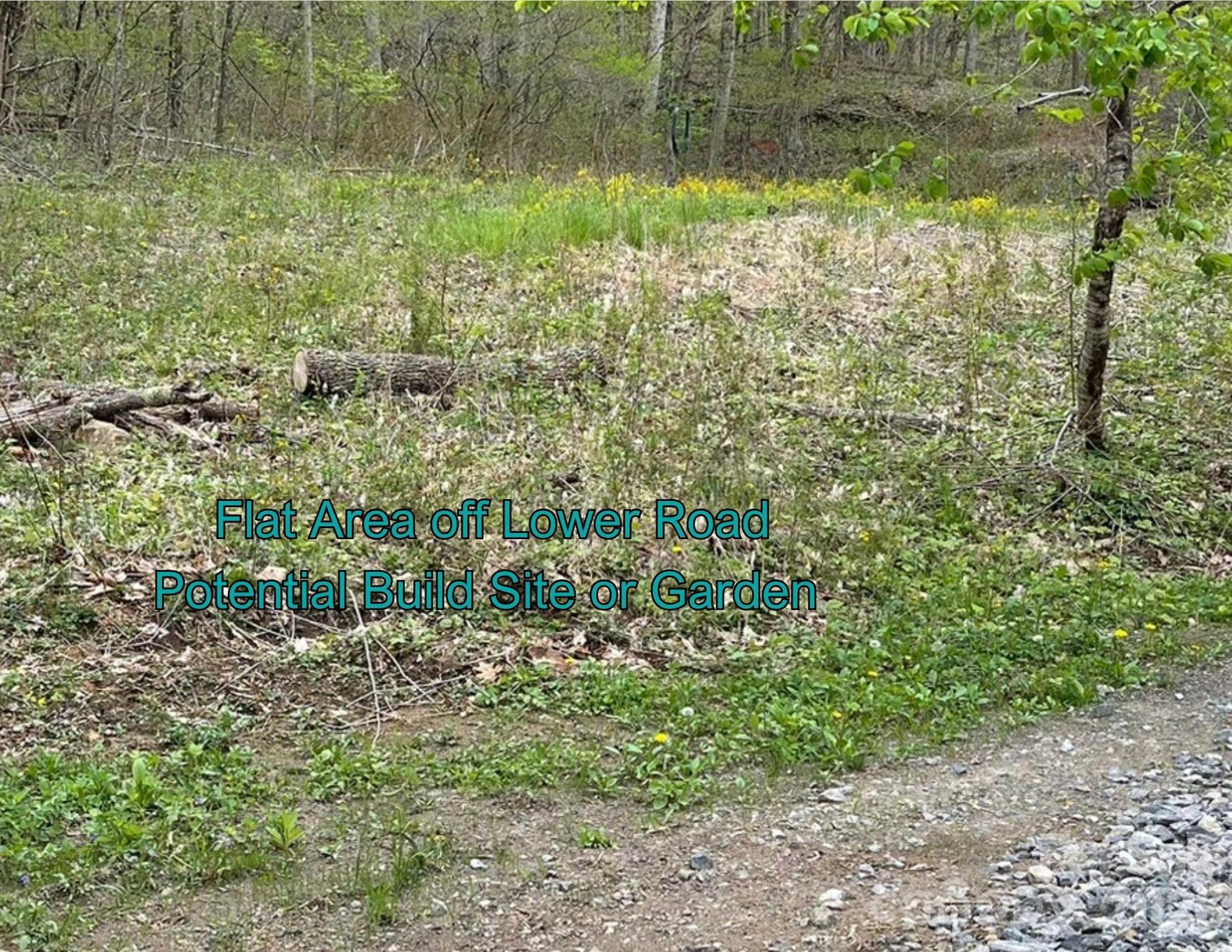 130 Gavin Glenn Road Barnardsville, NC 28709 - Photo 11 of 18