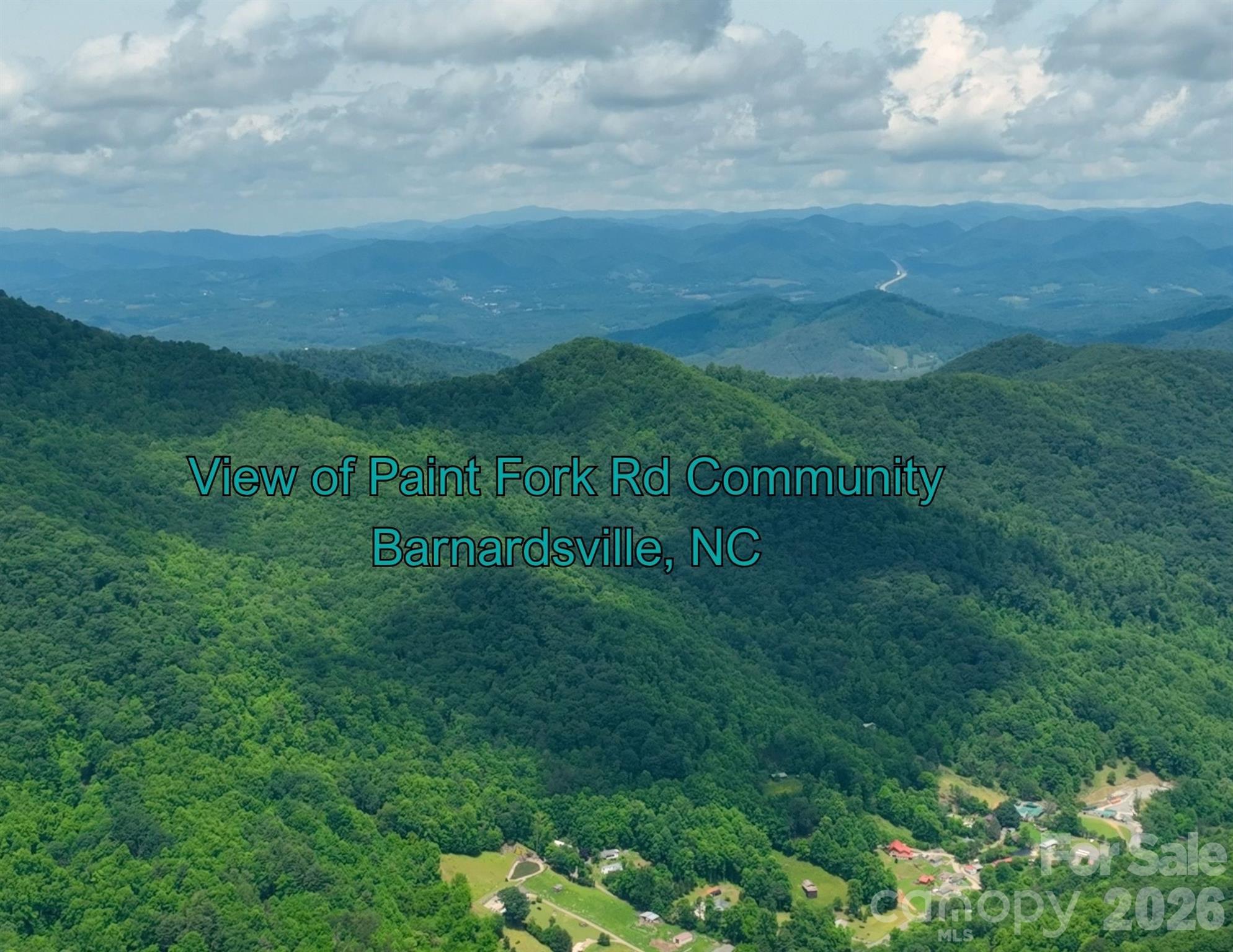 130 Gavin Glenn Road Barnardsville, NC 28709 - Photo 13 of 18