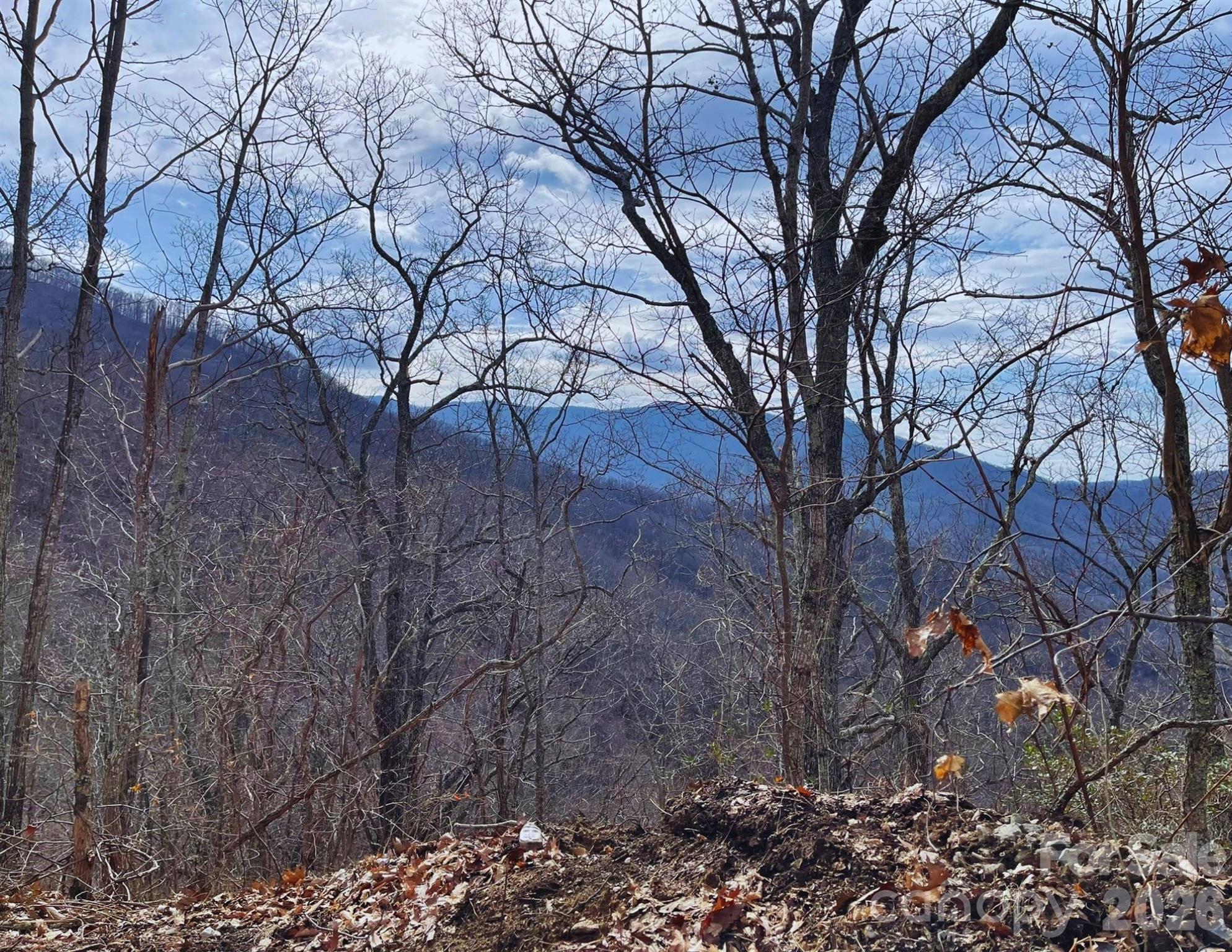 130 Gavin Glenn Road Barnardsville, NC 28709 - Photo 14 of 18