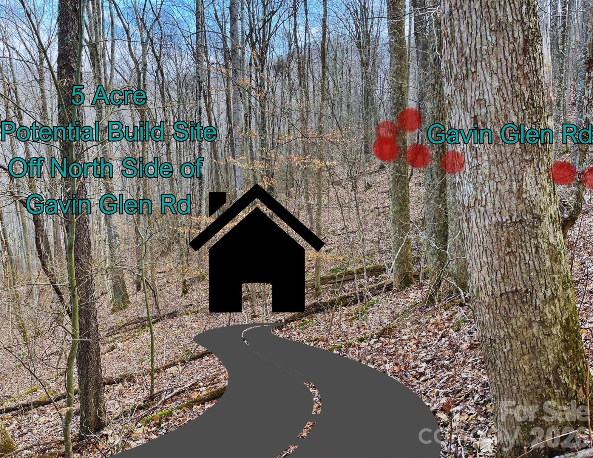 130 Gavin Glenn Road Barnardsville, NC 28709 - Photo 15 of 18