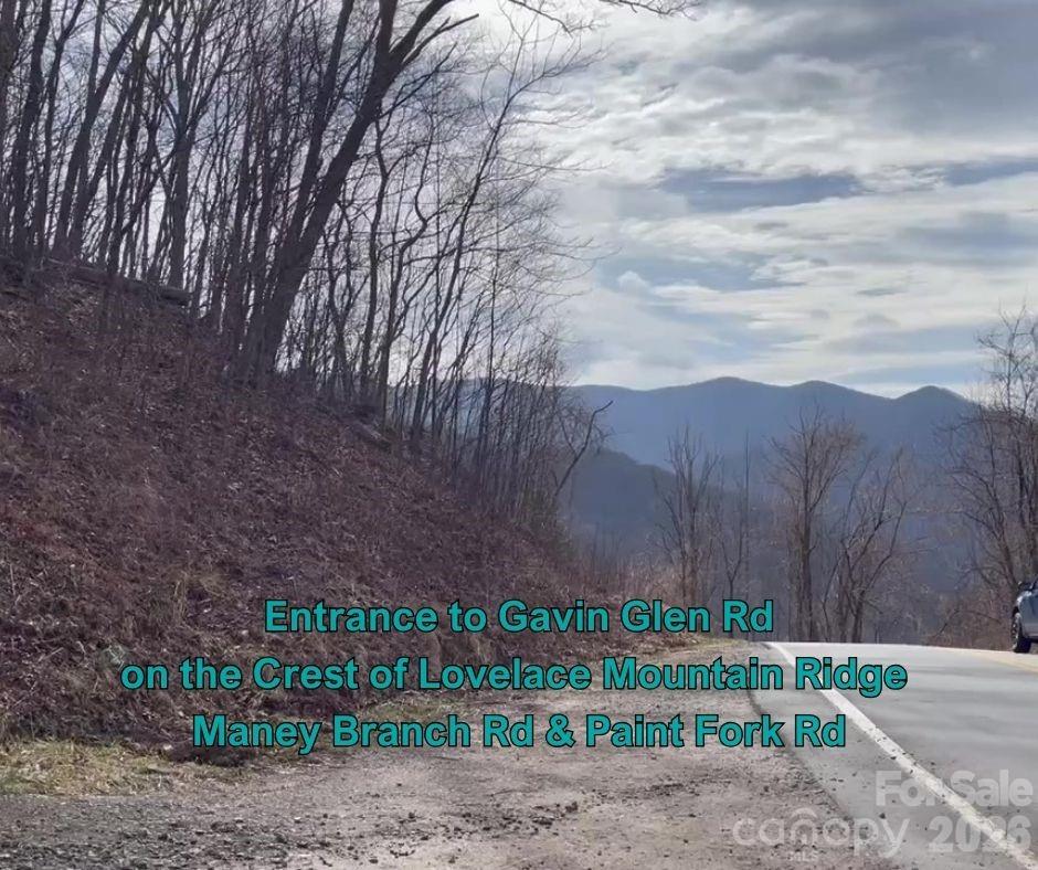 130 Gavin Glenn Road Barnardsville, NC 28709 - Photo 16 of 18