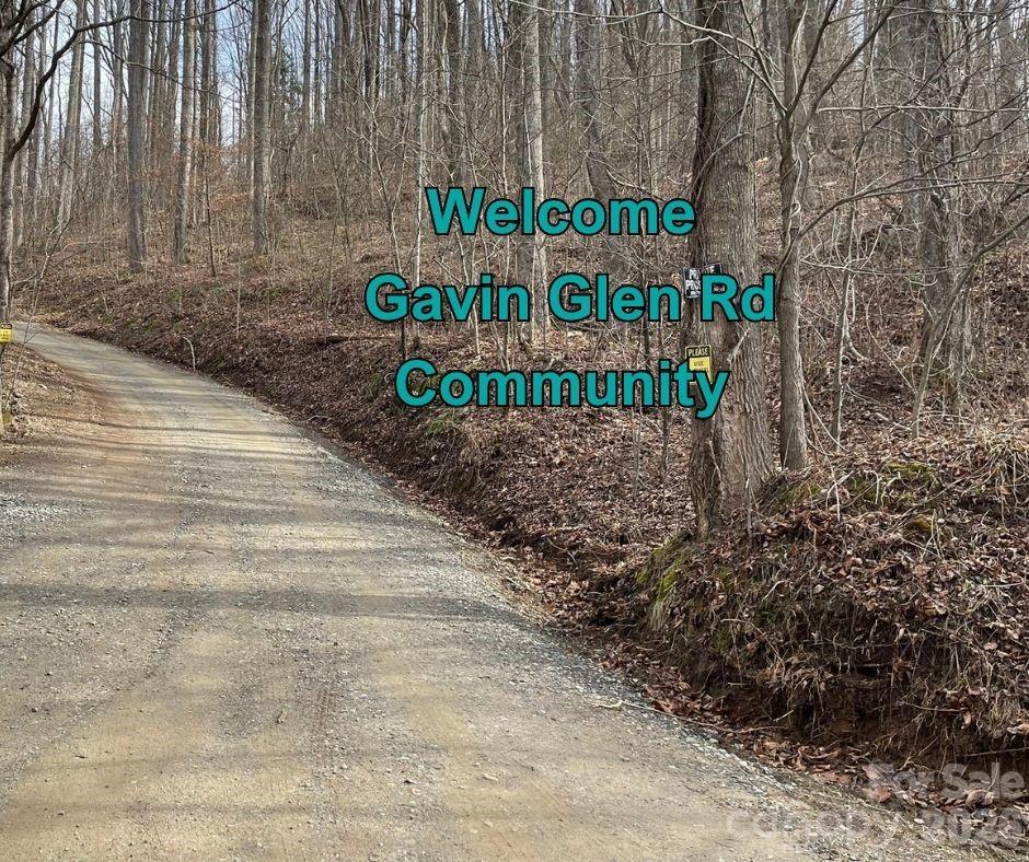 130 Gavin Glenn Road Barnardsville, NC 28709 - Photo 2 of 18