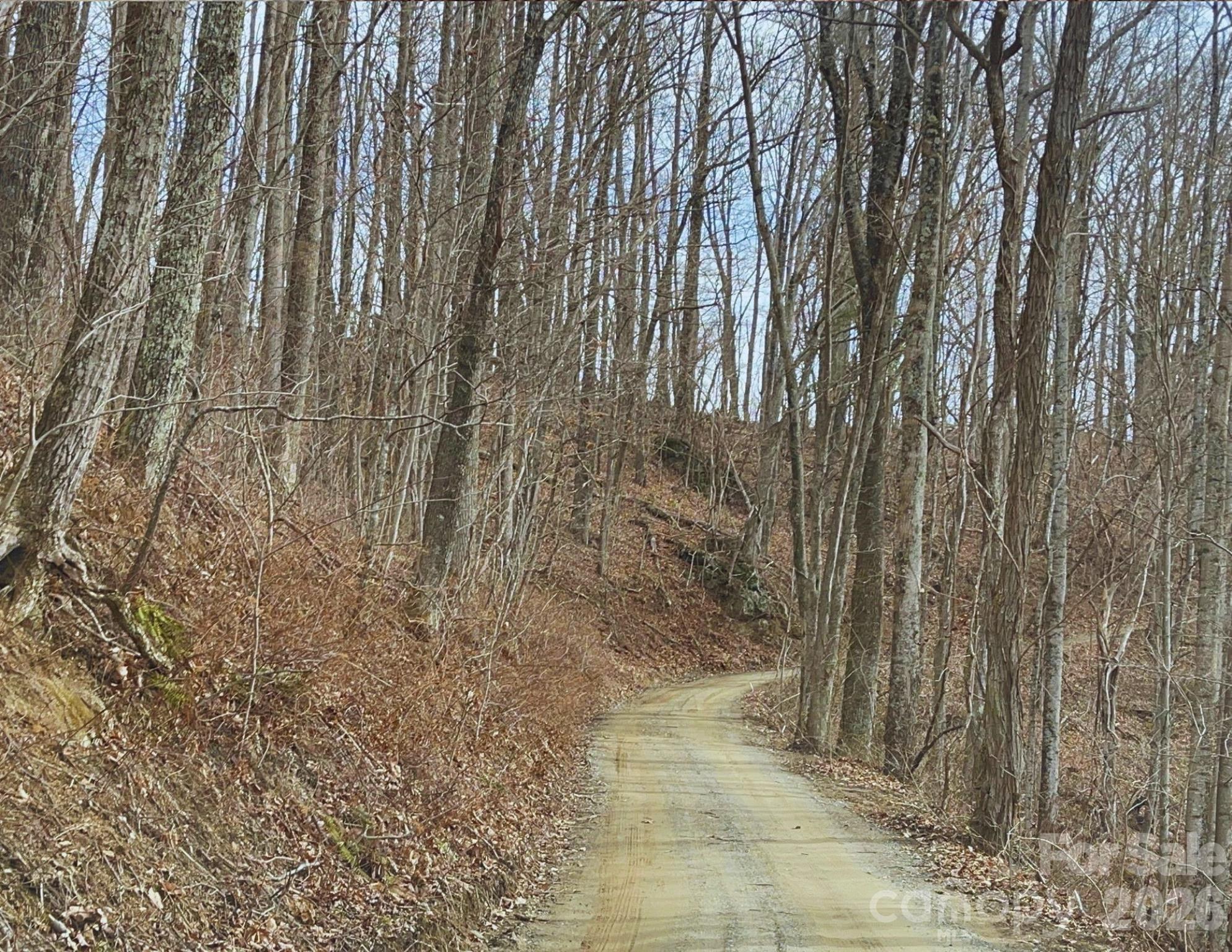 130 Gavin Glenn Road Barnardsville, NC 28709 - Photo 3 of 18