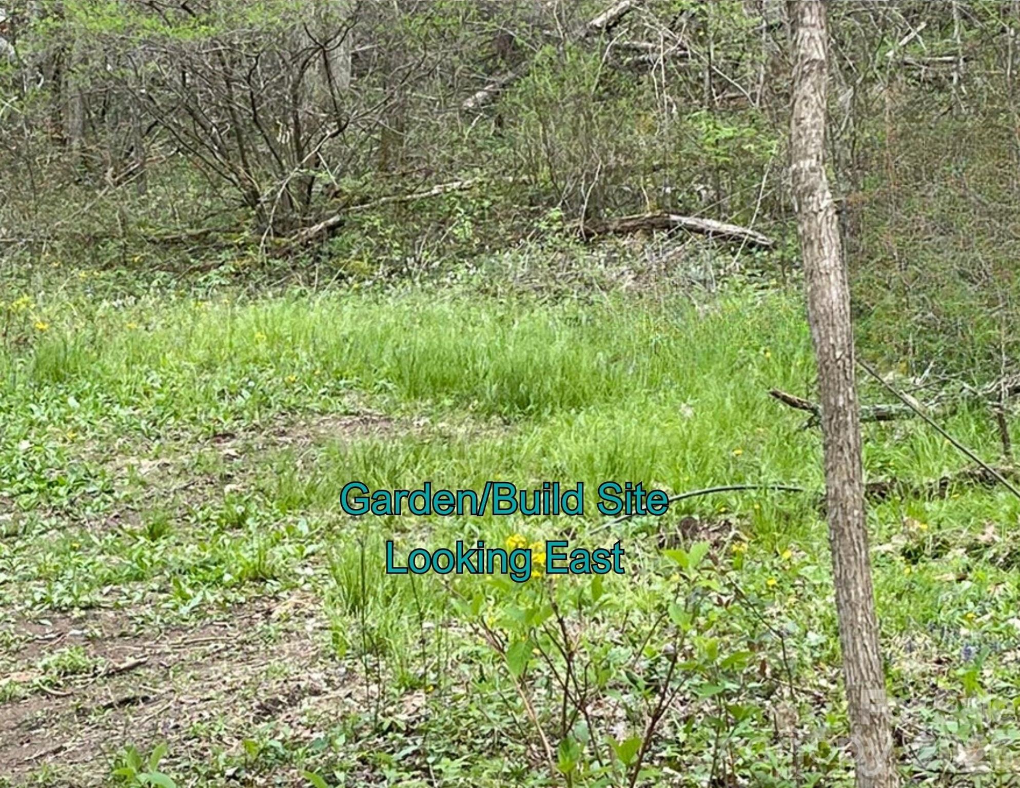 130 Gavin Glenn Road Barnardsville, NC 28709 - Photo 4 of 18