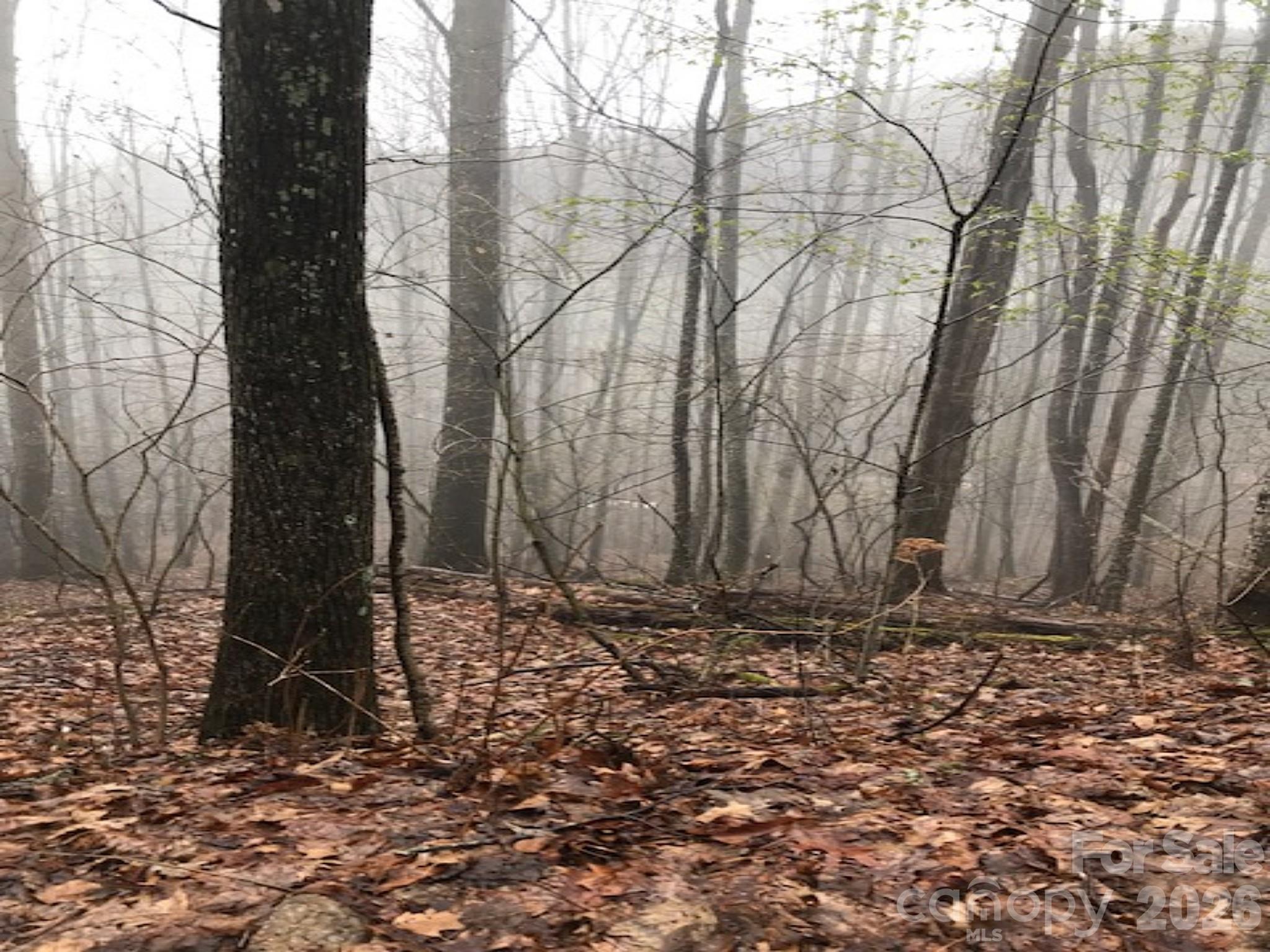 130 Gavin Glenn Road Barnardsville, NC 28709 - Photo 6 of 18