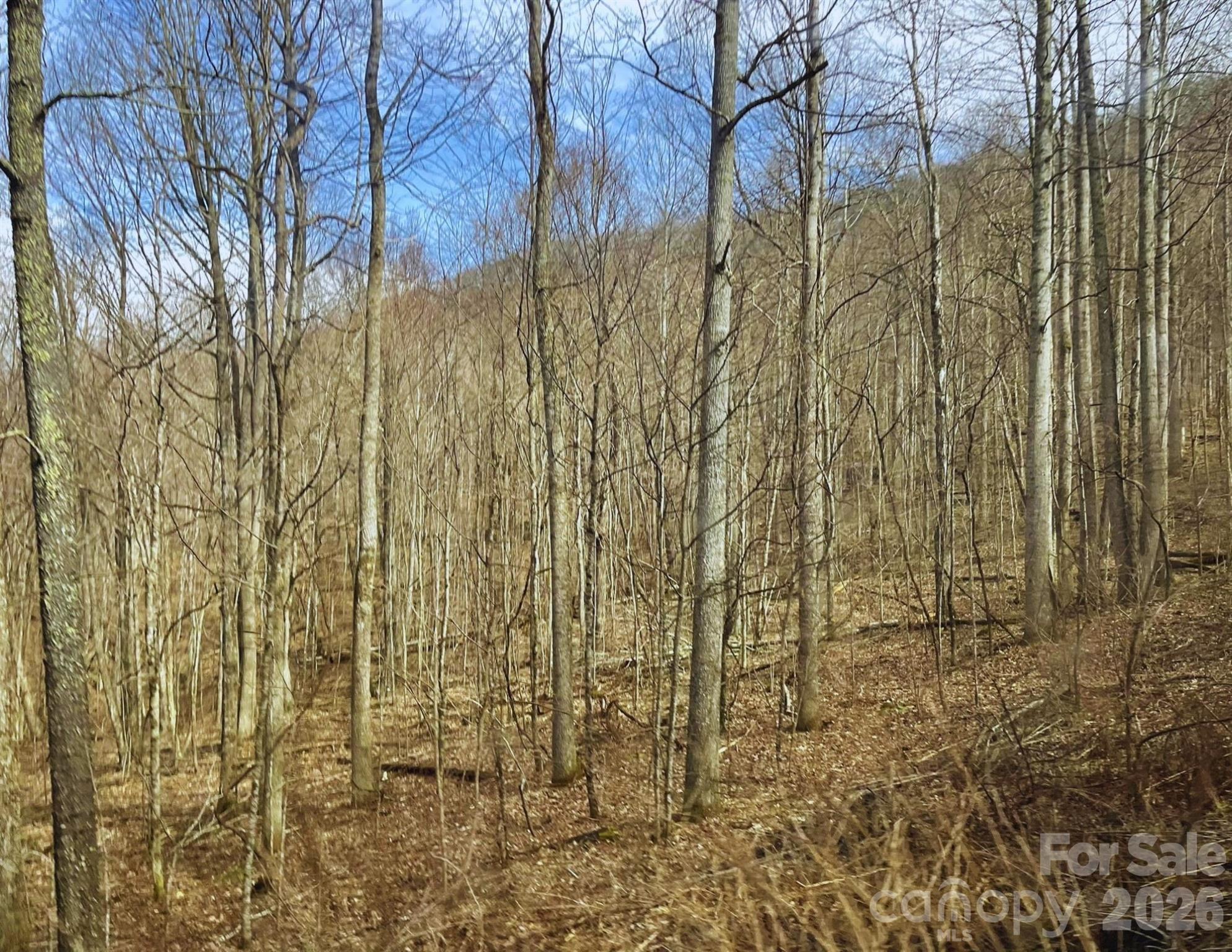 130 Gavin Glenn Road Barnardsville, NC 28709 - Photo 7 of 18