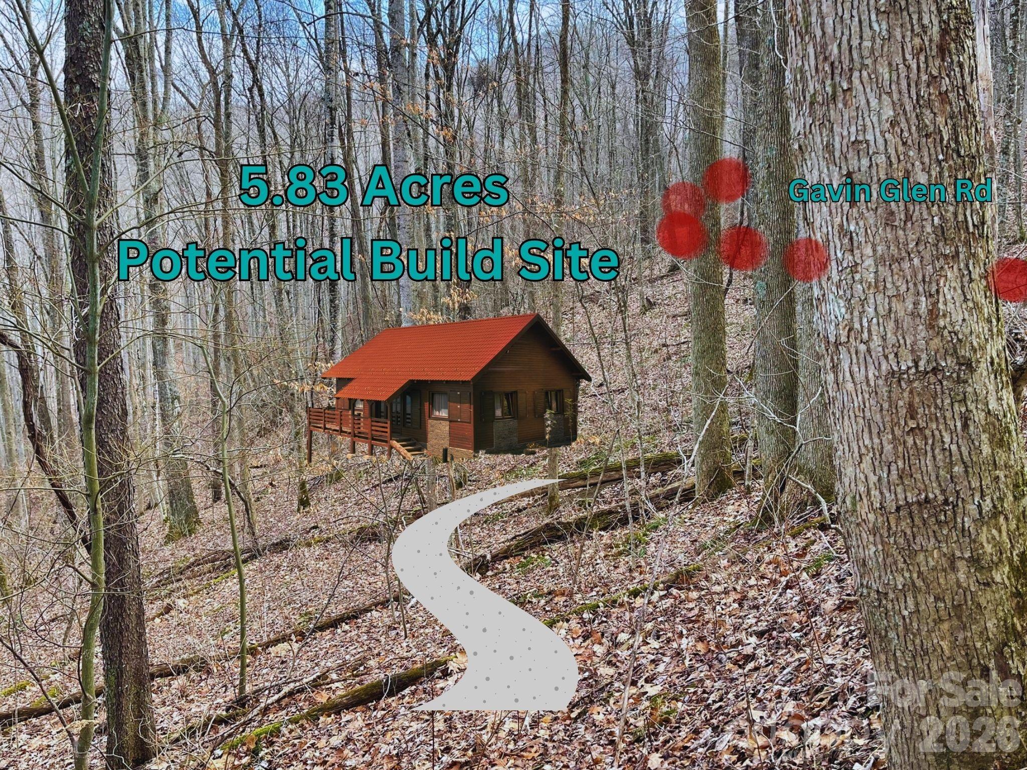 130 Gavin Glenn Road Barnardsville, NC 28709 - Photo 8 of 18