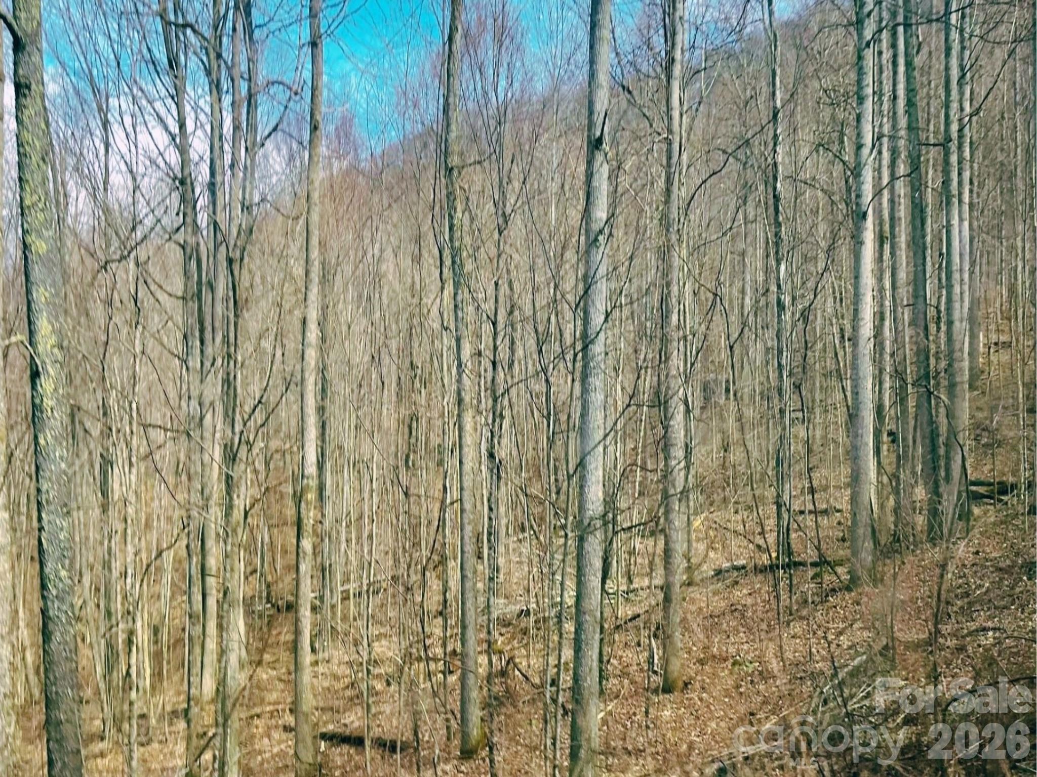 130 Gavin Glenn Road Barnardsville, NC 28709 - Photo 10 of 18