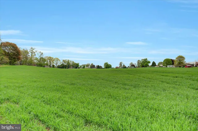 a view of a grassy field