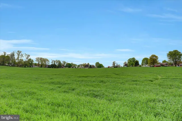 a view of a grassy field