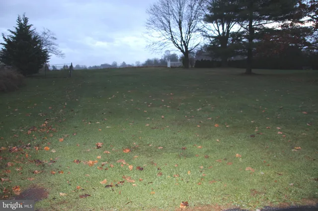 a view of yard with green space