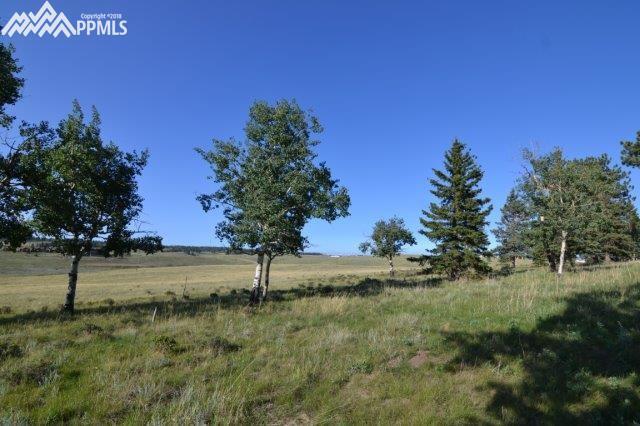 Tbd Tbd Robin Hood Rd Divide Divide, CO 80814 - Photo 12 of 33