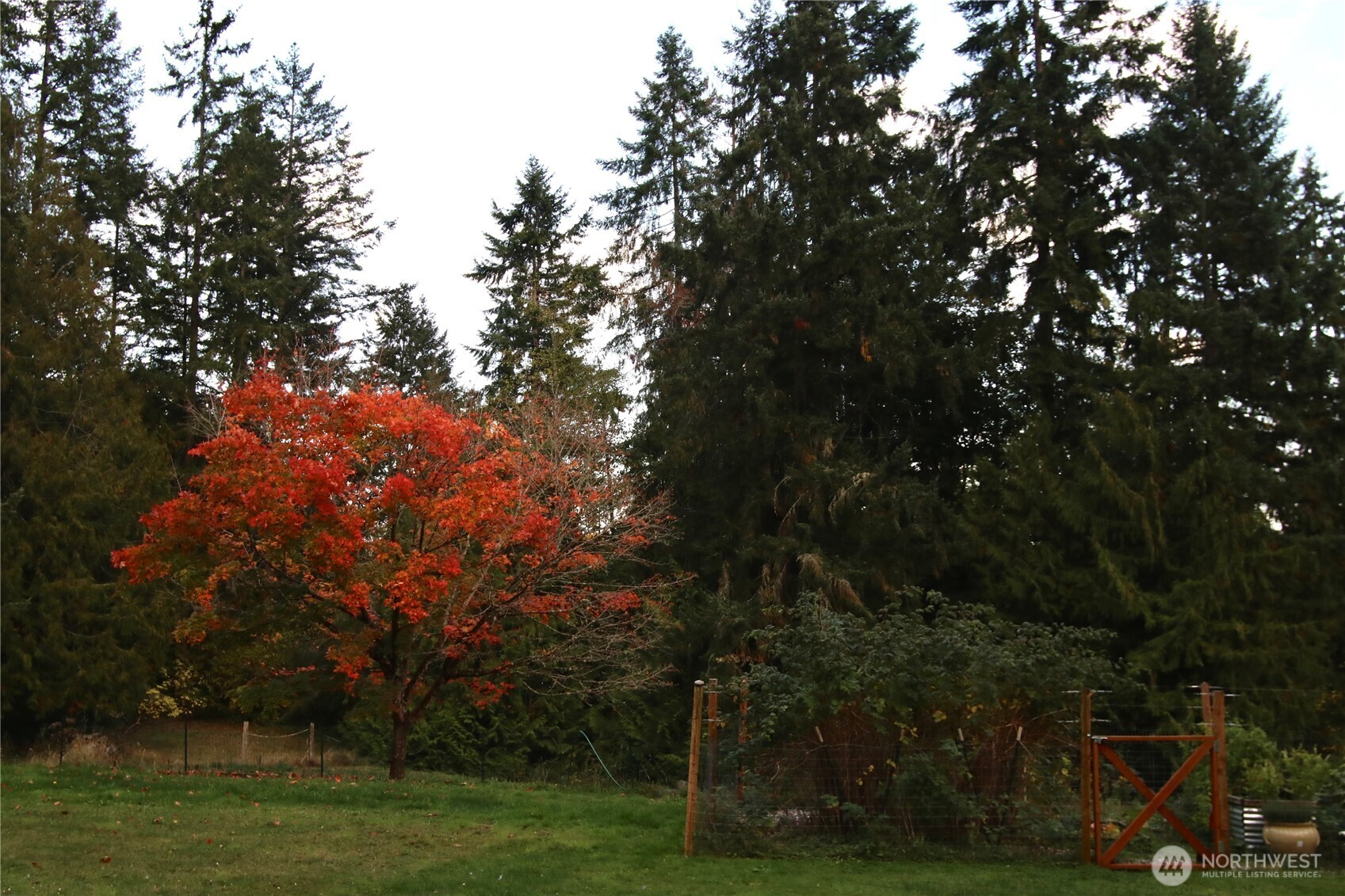 12620 Old Military Road Northeast Poulsbo, WA 98370 - Photo 32 of 35 a backyard of a house with lots of green space