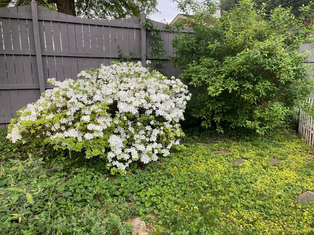 3210 Orchard Hill Road Southwest Roanoke, VA 24018 - Photo 36 of 39 IMG_4636