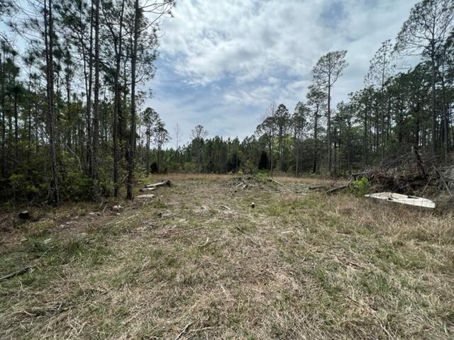 Tbd Tbd Foxmire Farm Road Santa Rosa Beach, FL 32459 - Photo 1 of 7 a view of a outdoor space