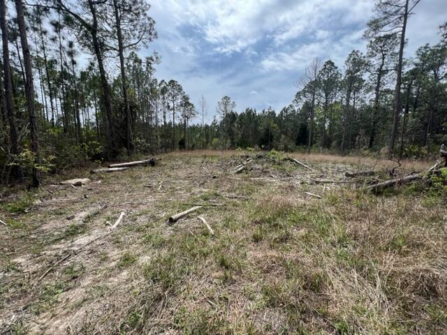 Tbd Tbd Foxmire Farm Road Santa Rosa Beach, FL 32459 - Photo 2 of 7 a view of outdoor space with trees