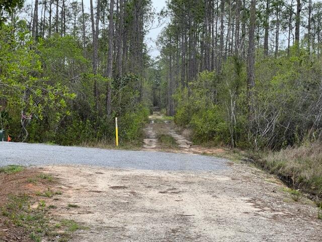 Tbd Tbd Foxmire Farm Road Santa Rosa Beach, FL 32459 - Photo 3 of 7 a view of a backyard of a house