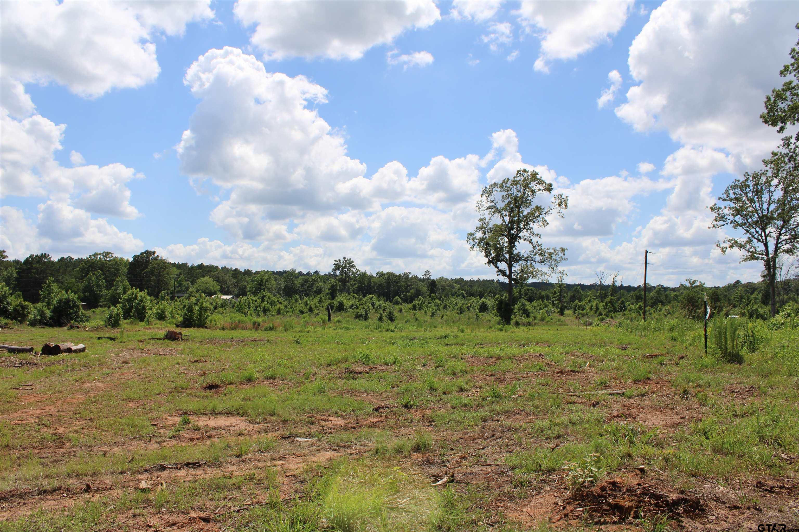 1110 - Tract 4 Rusk Tx 75785 Rusk, TX 75785 - Photo 11 of 13
