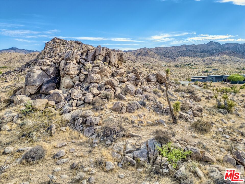 63131 Rocking Chair Road Joshua Tree, CA 92252 - Photo 59 of 66