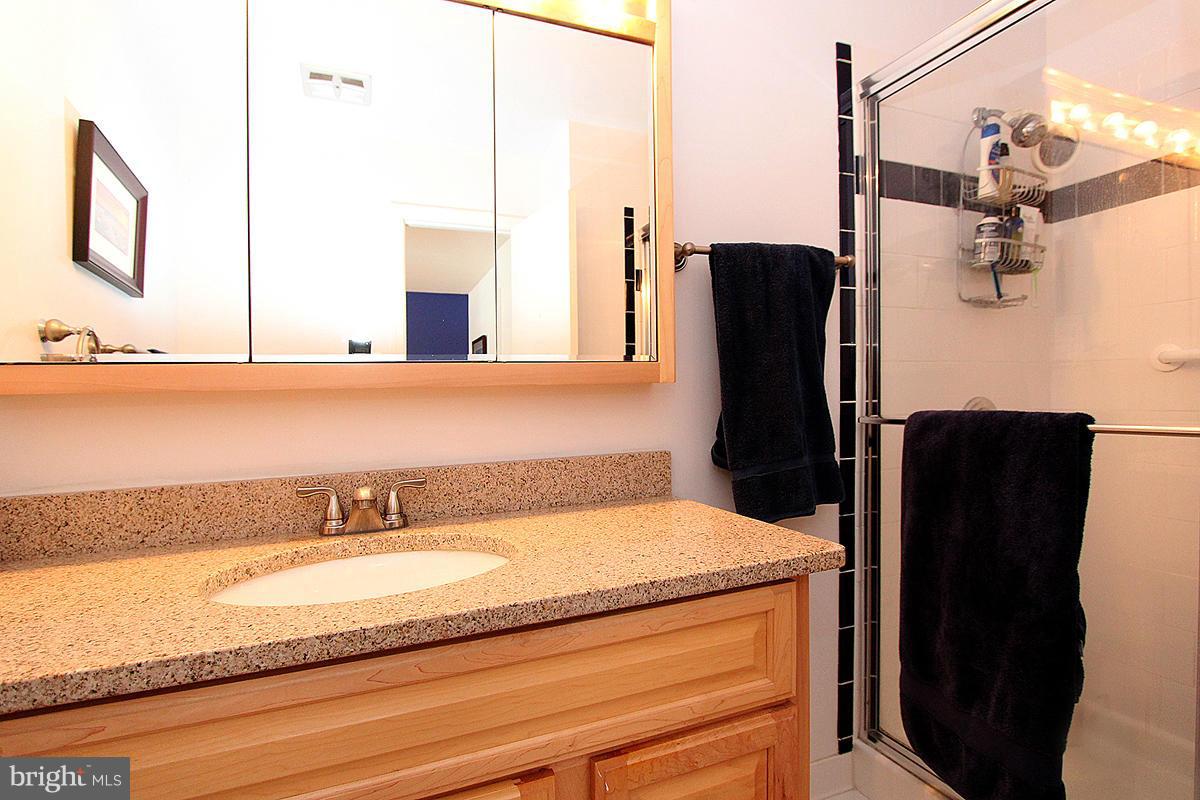 10203 Gainsborough Road Potomac, MD 20854 - Photo 21 of 30 Bath (Master)
