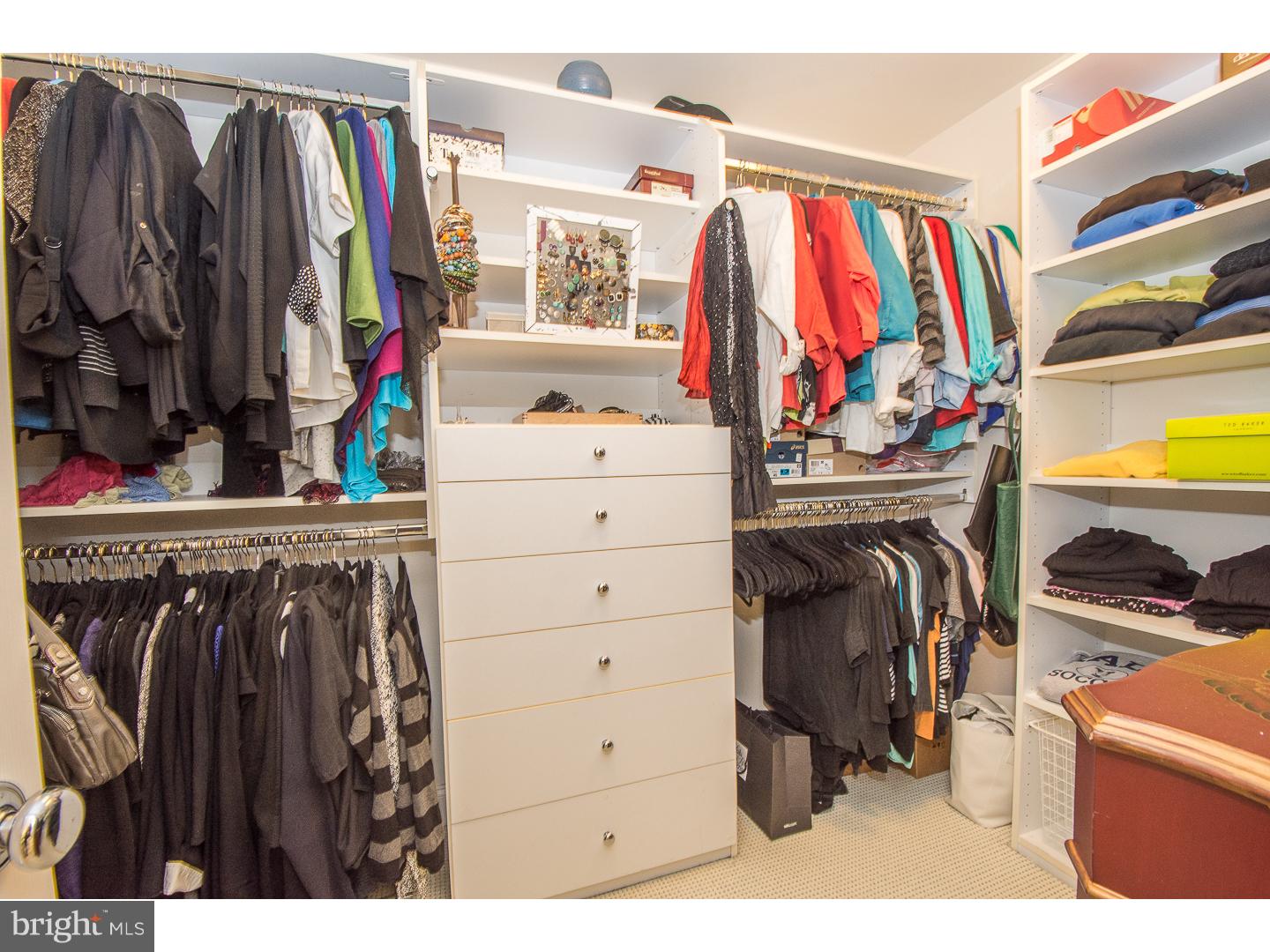 111 Minfford Road Bala Cynwyd, PA 19004 - Photo 21 of 25 Closet