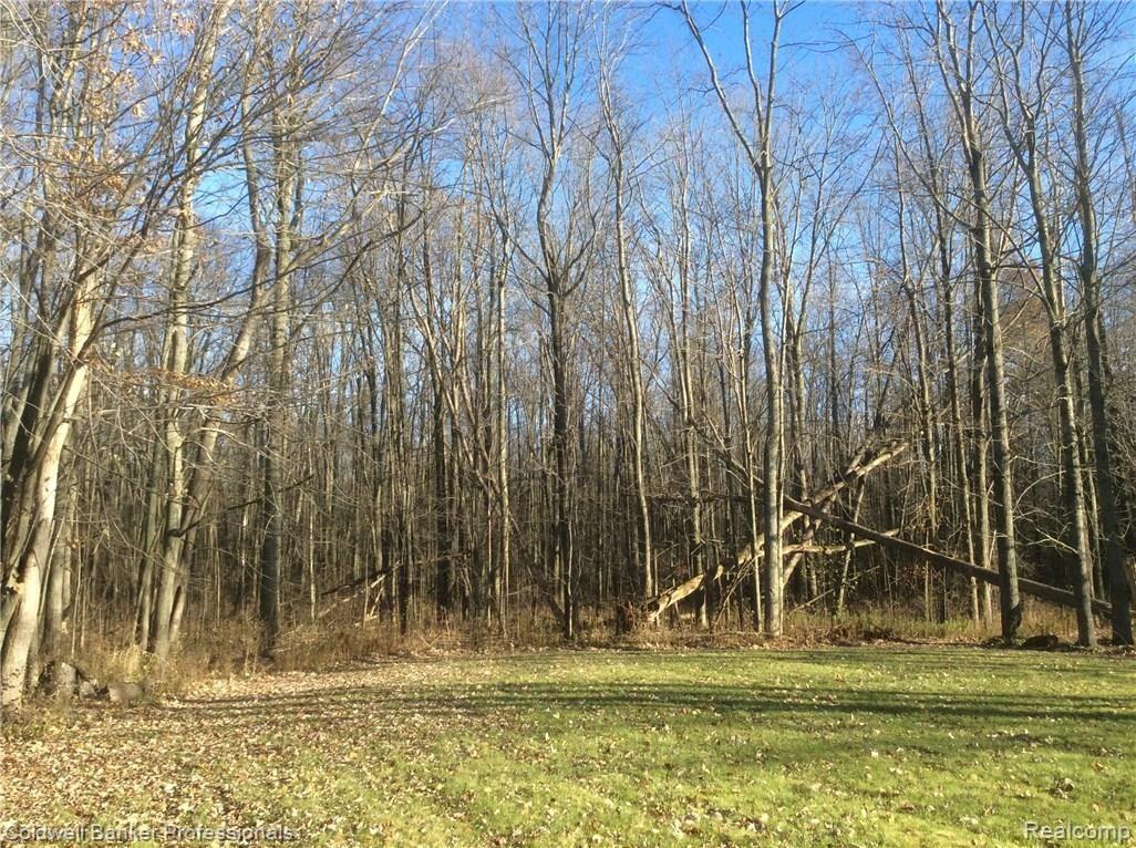 15315 Tubspring Road Allenton, MI 48002 - Photo 40 of 47 IMG_2483.JPG