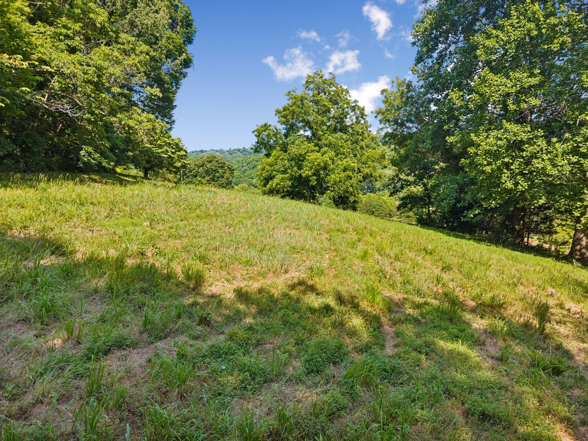 2873 Springplace Road Belfast, TN 37019 - Photo 88 of 92 Gallery Image 88
