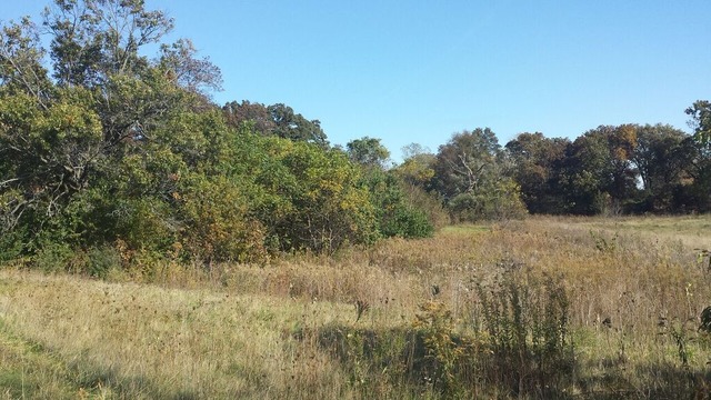 0 Rogene Oregon, IL 61061 - Photo 1 of 12