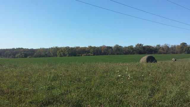 0 Rogene Oregon, IL 61061 - Photo 6 of 12