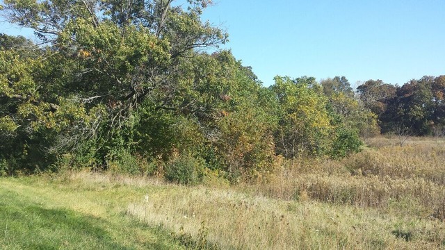 0 Rogene Oregon, IL 61061 - Photo 10 of 12