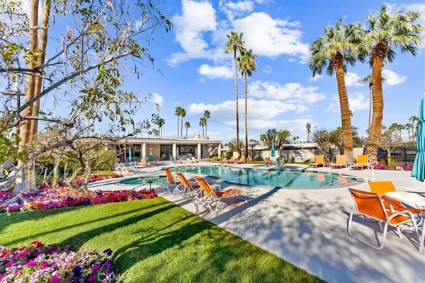 a row of palm trees sitting in a park with palm trees