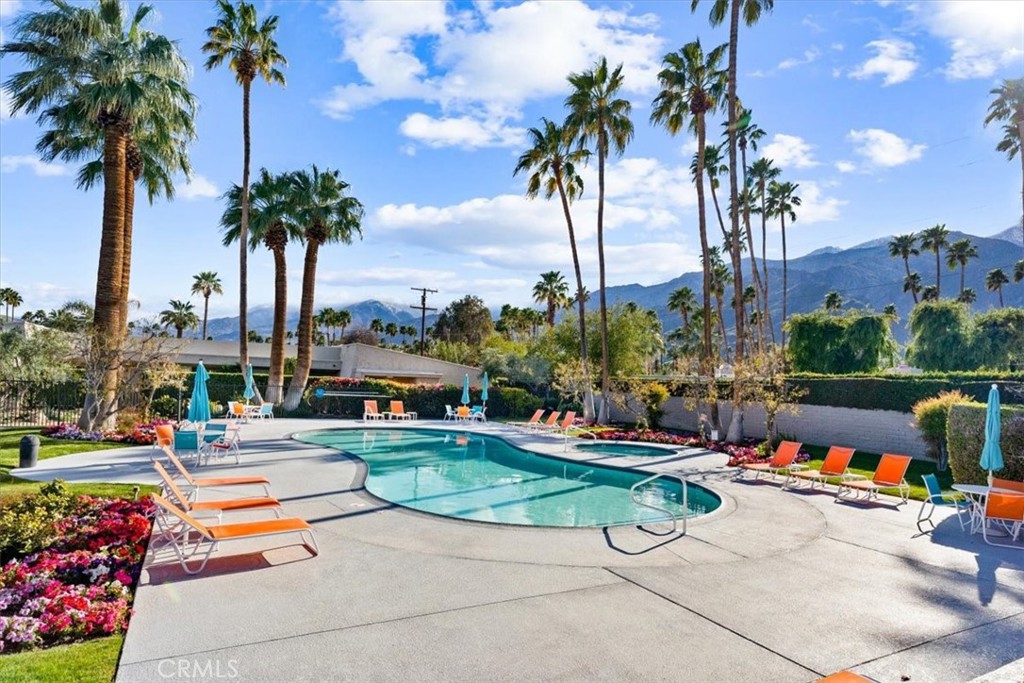 1111 Ramon Road, Unit 87 Palm Springs, CA 92264 - Photo 45 of 54 a row of palm trees sitting in a park with palm trees