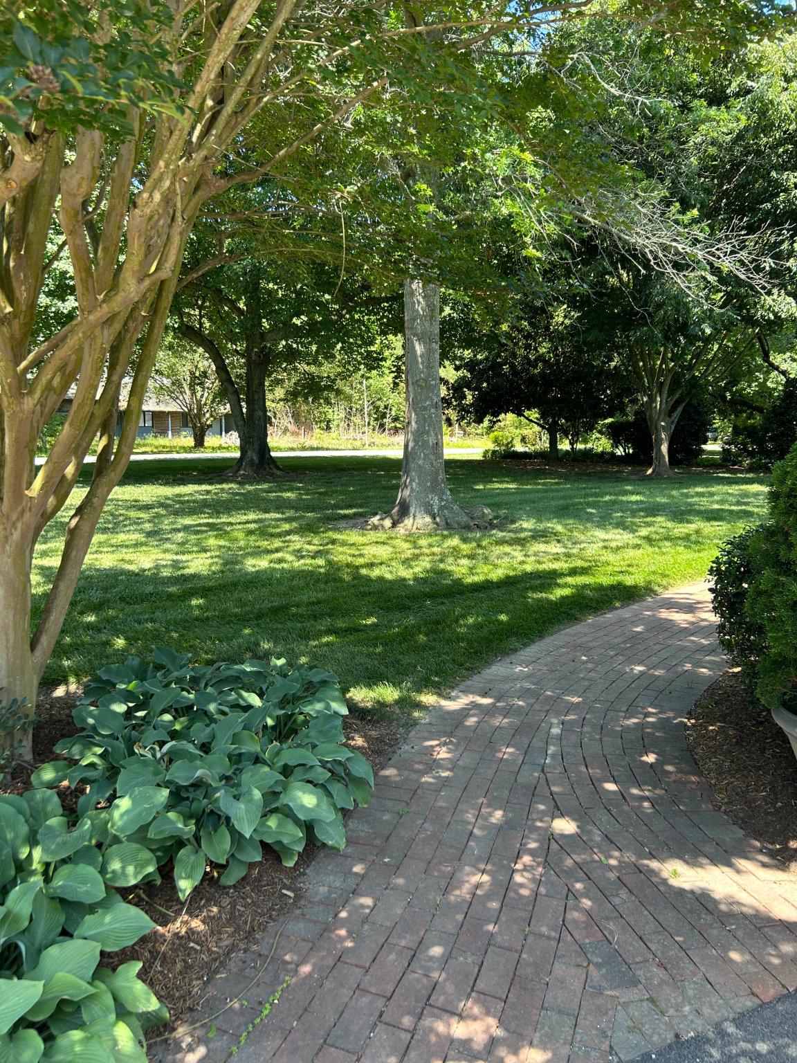 24818 Half Pone Point Road Hollywood, MD 20636 - Photo 11 of 13 Beautiful front yard with mature trees