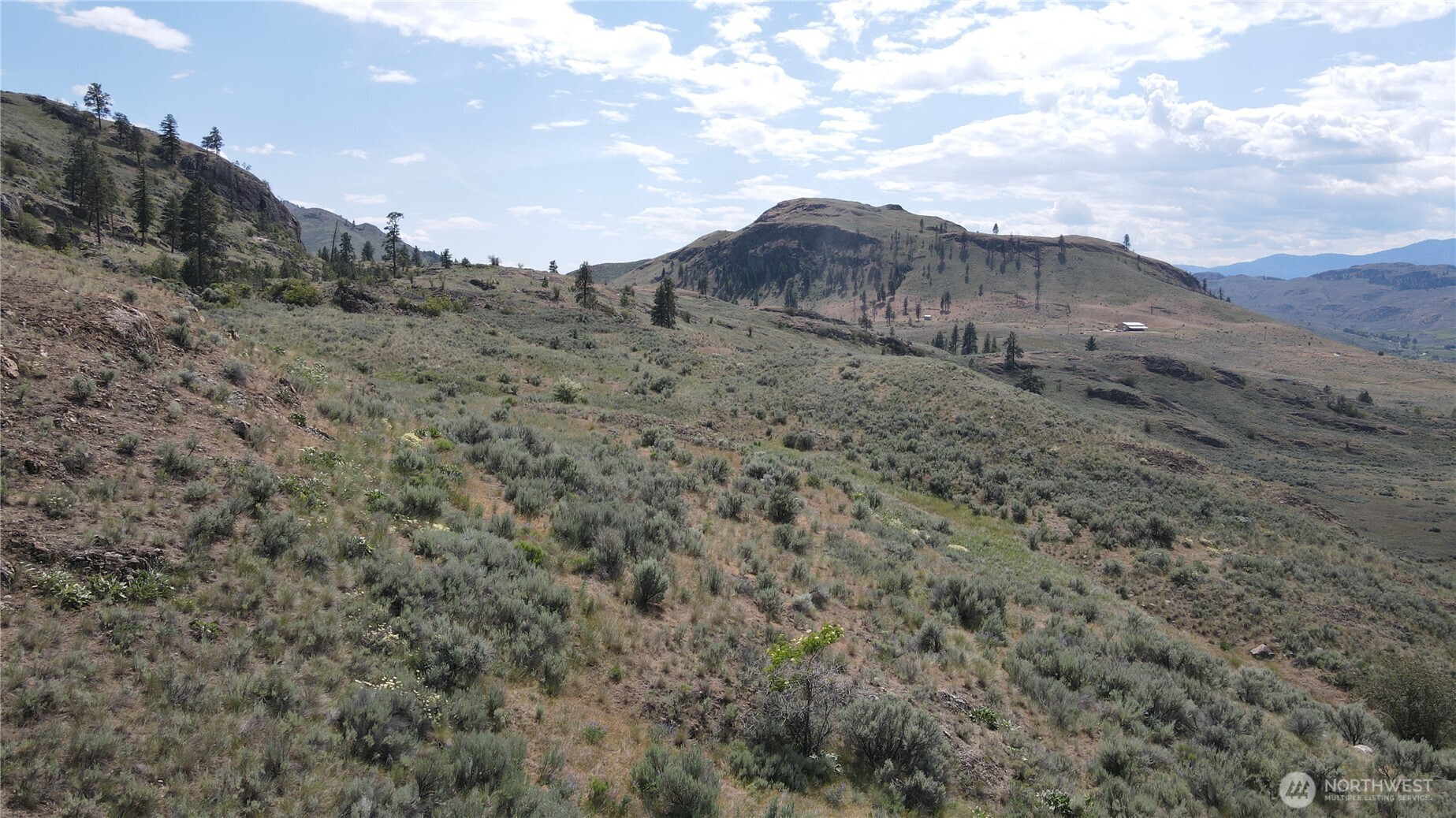-lot B Swanson Mill Road Oroville, WA 98844 - Photo 3 of 13 a view of a dry field with mountains in the background